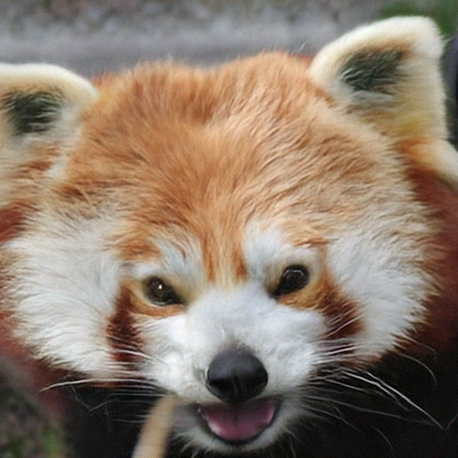 Generated red panda