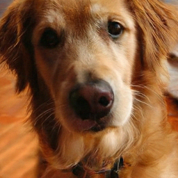 Generated retriever